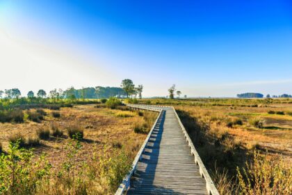 Nationaal Park Dwingelderveld is een van de mooiste wandelgebieden van Nederland
