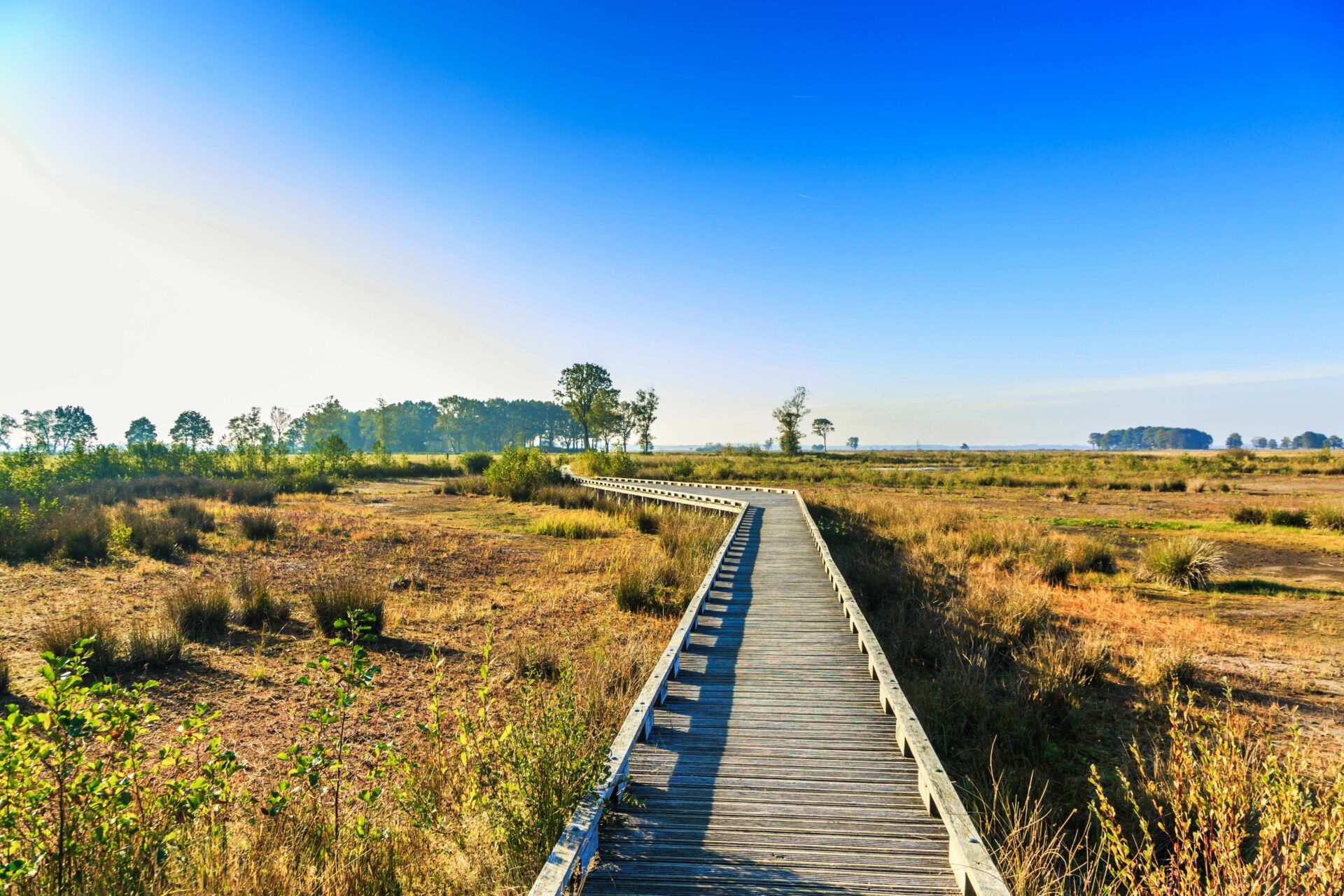 Nationaal Park Dwingelderveld is een van de mooiste wandelgebieden van Nederland