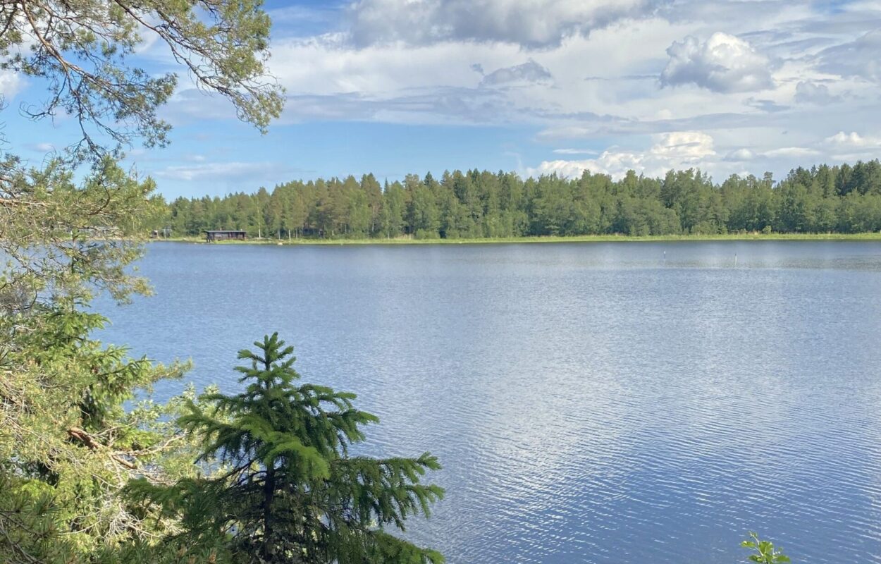 Stilte in Finland 1