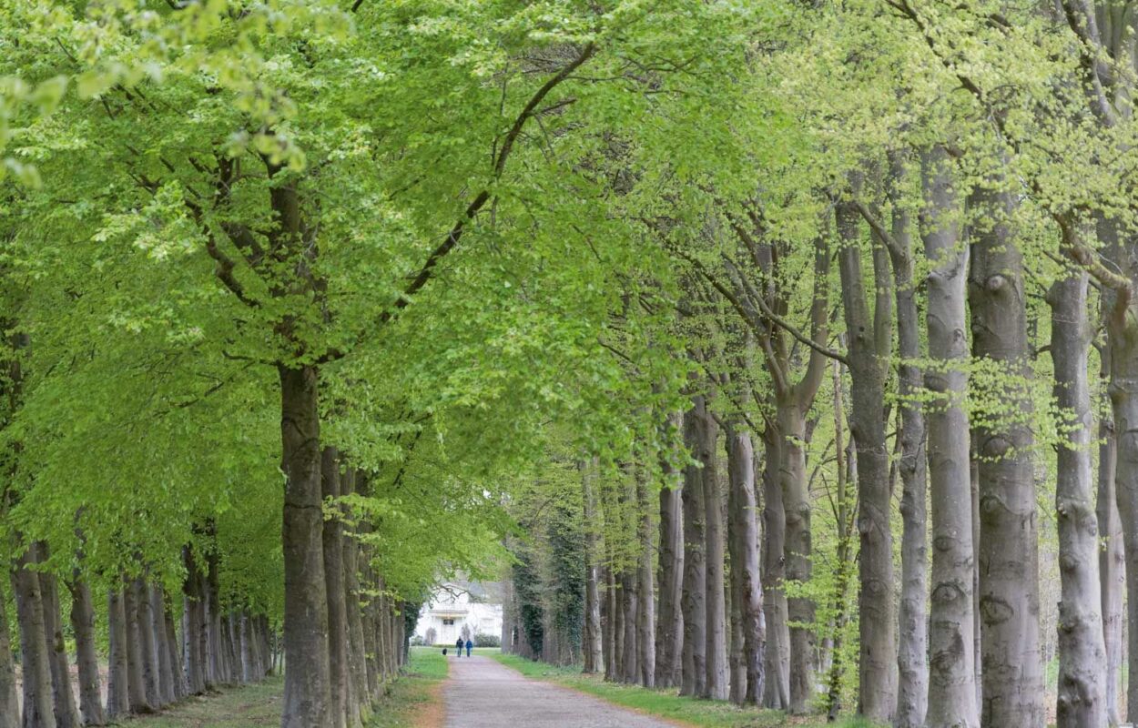 Wandelroute Ommen